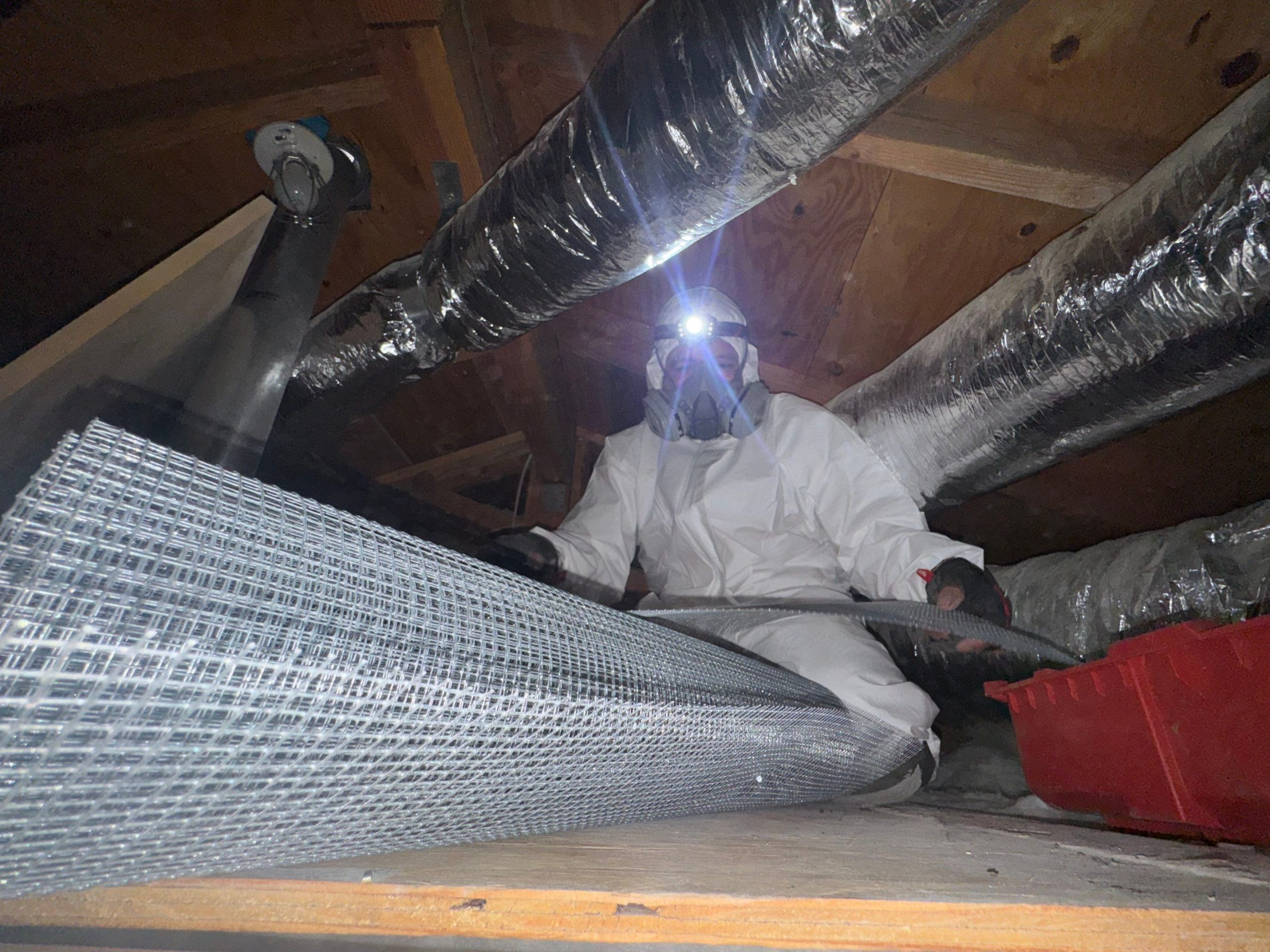 Rodent proofing and attic service